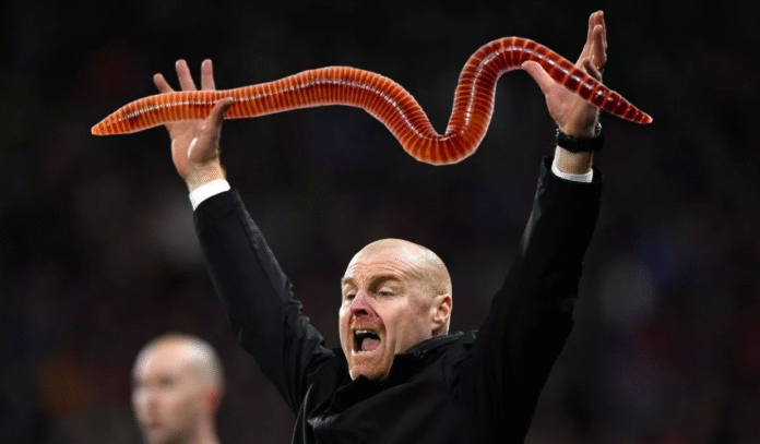Sean Dyche
