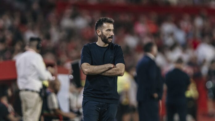 1789163071websevillavcf4521_Apaisada